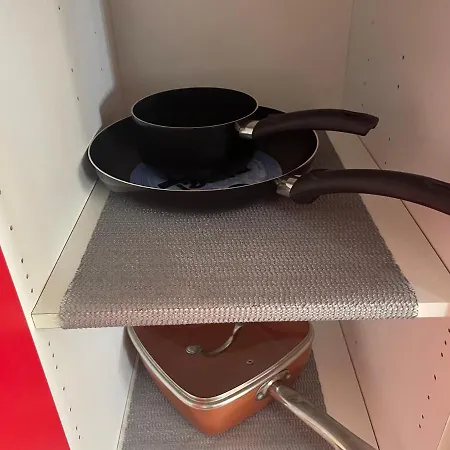 Beautiful Tulip Valencia