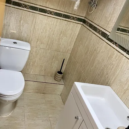 Beautiful Tulip * Valencia